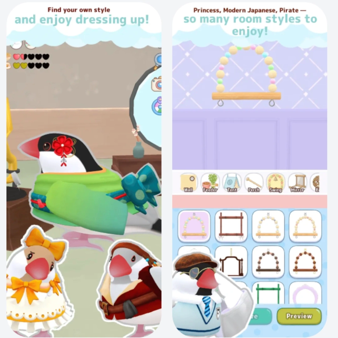 文鳥-療癒-療癒