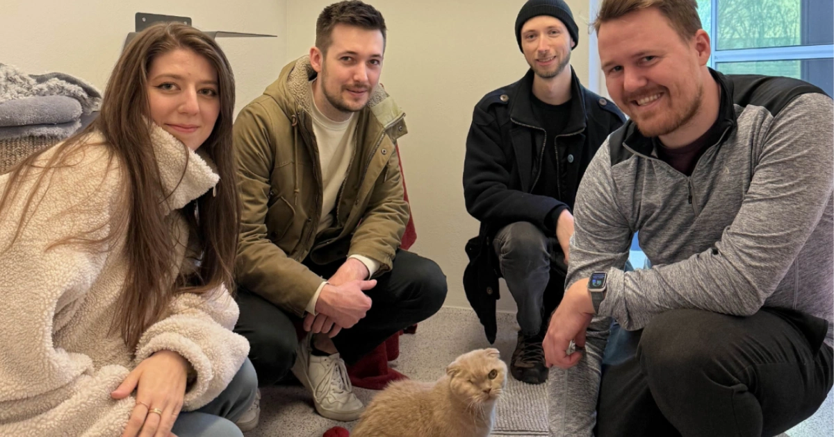 Bango Cat-免費遊戲-Steam-慈善活動-捐款-浪貓