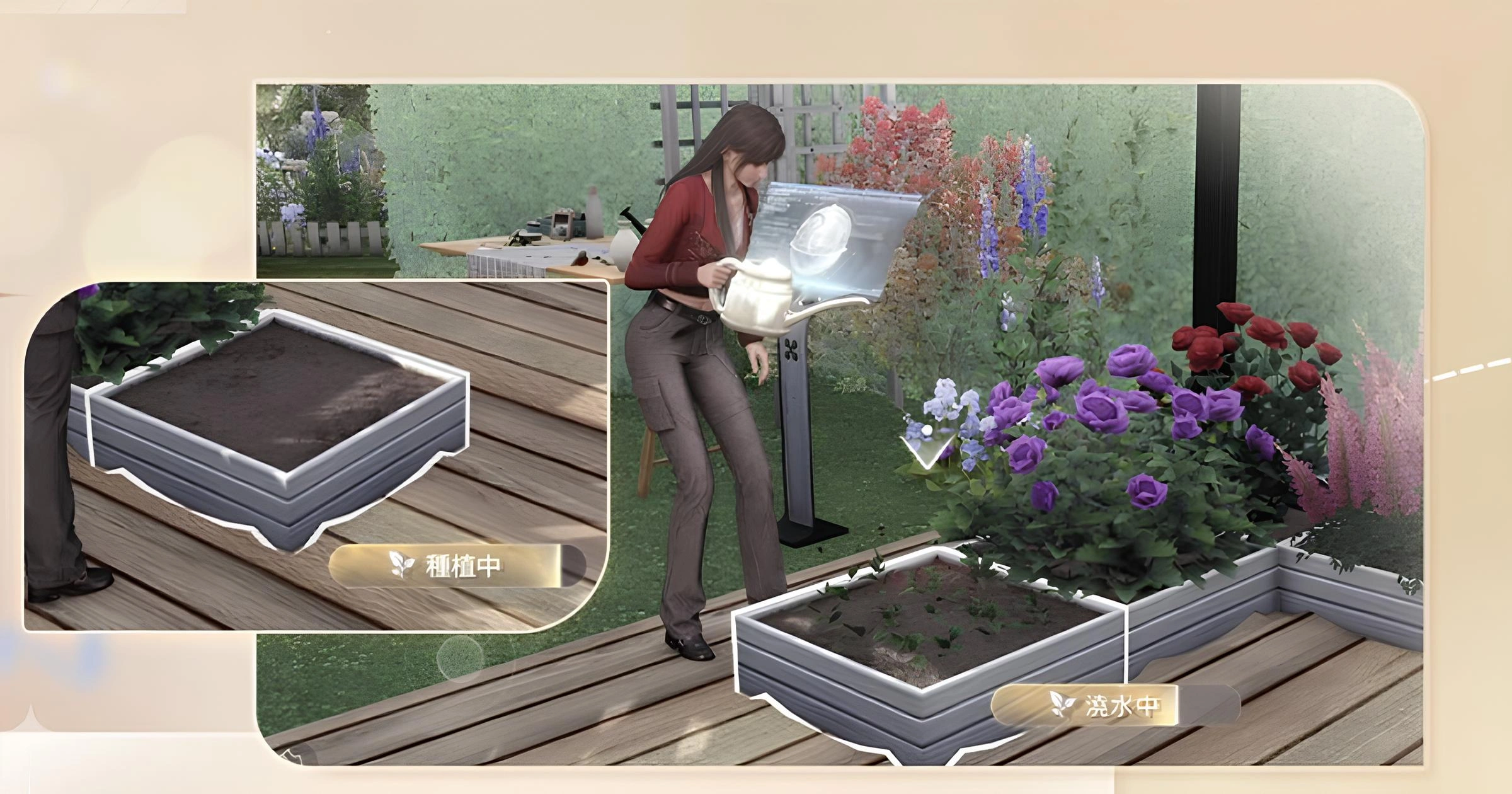 戀與深空-家園系統-花房玩法攻略-體力-三星花-異色花完整解析-新手體力使用與種花觀念