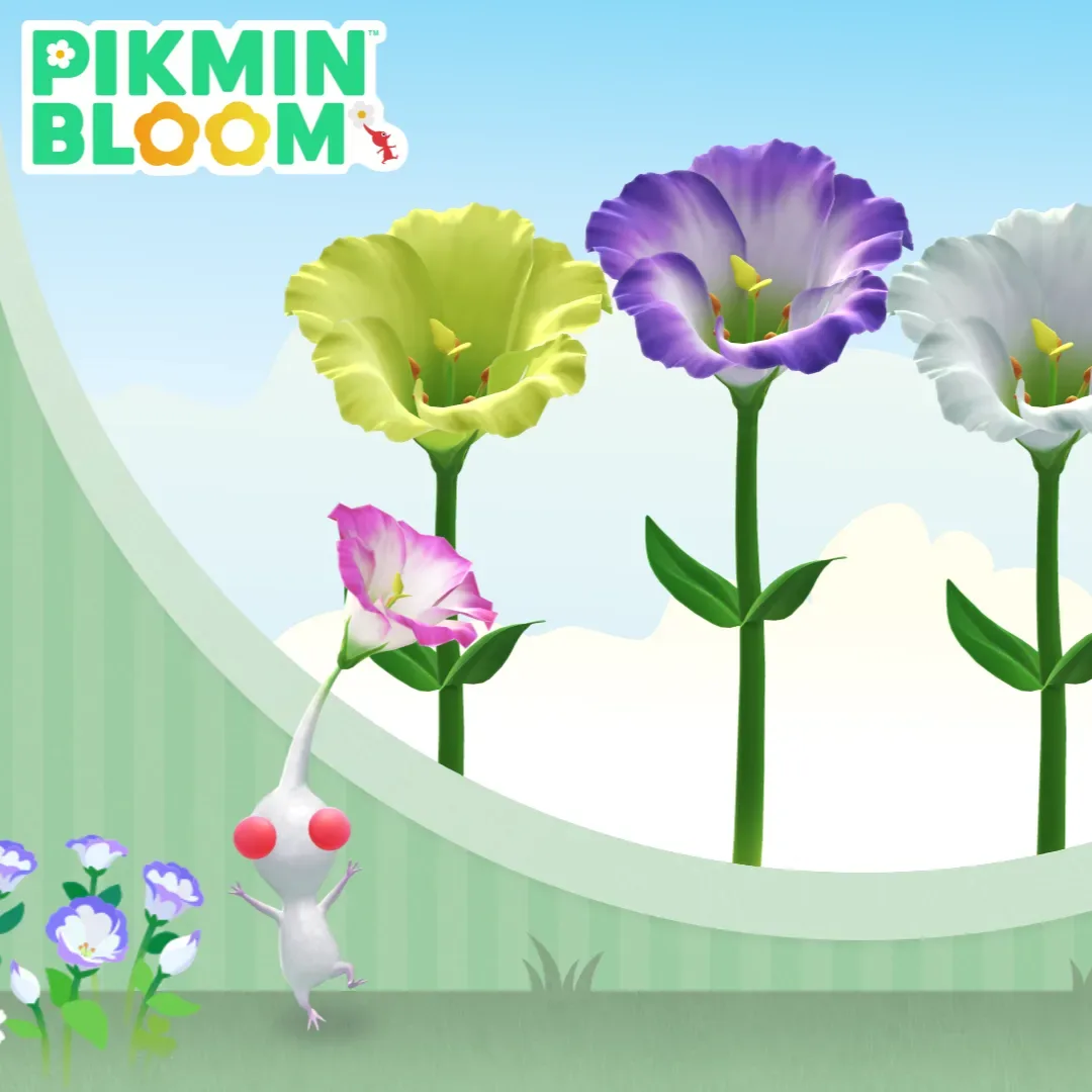 皮克敏-Pikmin Bloom-9 月巨大花朵預報-洋桔梗-4348