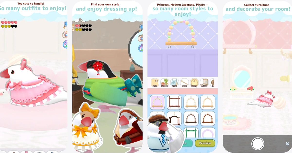 文鳥-療癒-療癒