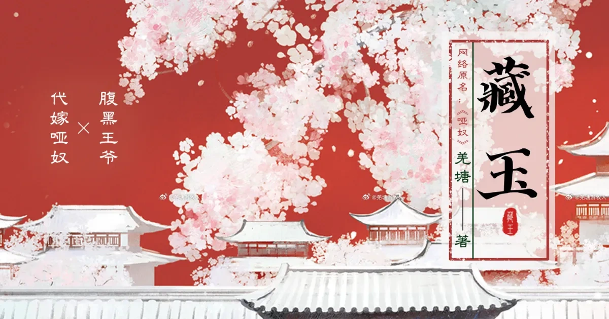 中國耽美小說-中國原耽-BL-耽美-古風-虐心-經典-追妻火葬場-藏玉-啞奴-羌塘-腹黑王爺-待嫁啞奴-鎮北王-君玄梟-沈玉-實體書-預售