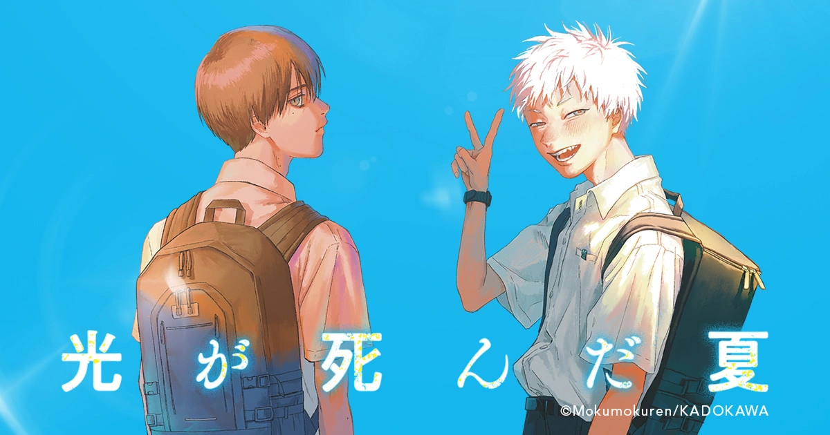 《光逝去的夏天》雙主角封面